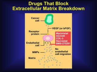 Drugs That Block
Extracellular Matrix Breakdown
         Cancer
            cell


                   VEGF (or bFGF)
       Receptor
        protein      Marimistat
                     AG3340
                     COL-3
                     Neovastat
     Endothelial     BMS-275291
            cell
                     No
          MMPs       endothelial
                     cell migration
      Matrix
 
