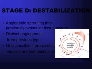 STAGE D: DESTABILIZATION

• Angiogenic sprouting into
  previously avascular tissue occurs
• Distinct angiogenesis
  from previous type
• Only possible if pre-existing
  vessels are first destabilized
 