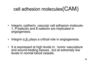 cell adhesion molecules(CAM)


• Integrin, cadherin, vascular cell adhesion molecule-
  1, P-selectin and E-selectin are implicated in
  angiogenesis.

• Integrin αvβ3 plays a critical role in angiogenesis.

• It is expressed at high levels in : tumor vasculature
  and wound-healing tissues , but at extremely low
  levels in normal blood vessels.
                                                          66
 