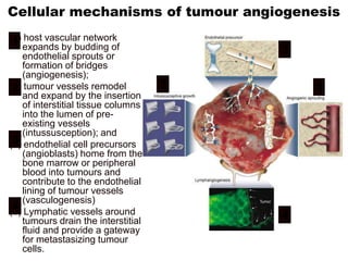 Cellular mechanisms of tumour angiogenesis
(1) host vascular network
 1 expands by budding of
    endothelial sprouts or
                                         3
    formation of bridges
    (angiogenesis);
(2) tumour vessels remodel
 2                                   2       1
    and expand by the insertion
    of interstitial tissue columns
    into the lumen of pre-
    existing vessels
    (intussusception); and
 3
(3) endothelial cell precursors
    (angioblasts) home from the
    bone marrow or peripheral
    blood into tumours and
    contribute to the endothelial
    lining of tumour vessels
    (vasculogenesis)
 4 Lymphatic vessels around
(4)
    tumours drain the interstitial
                                         4
    fluid and provide a gateway
    for metastasizing tumour
    cells.
 