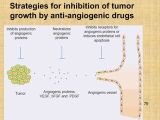 Strategies for inhibition of tumor
growth by anti-angiogenic drugs




                                     79
 