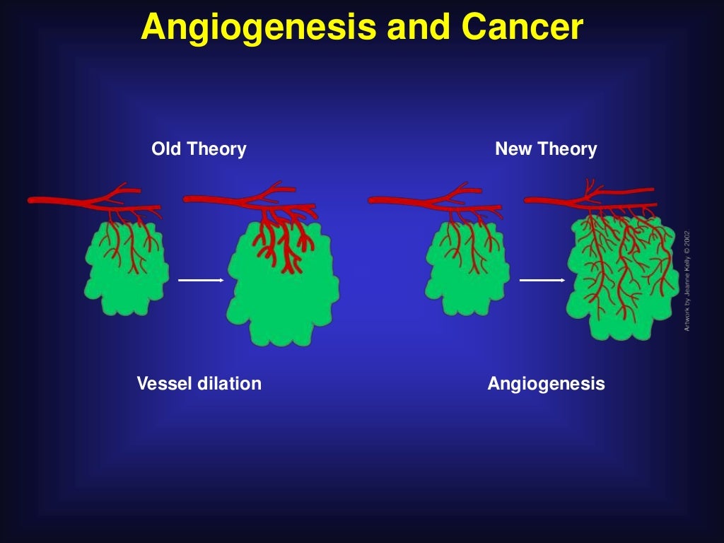 PPT - Angiogenesis PowerPoint Presentation - ID:331206