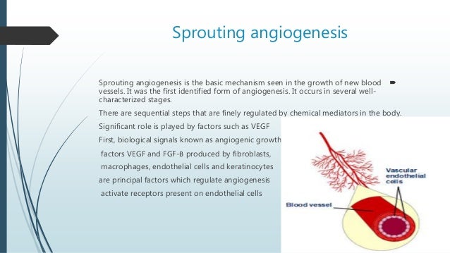 What is angiogenesis?