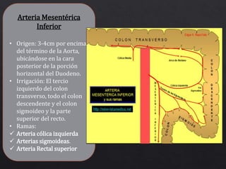 Angiografía Aorta Abdominal | PPTX