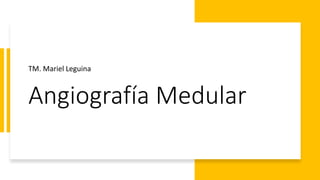 Angiografía Medular
TM. Mariel Leguina
 