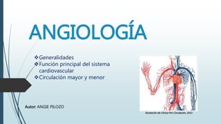 ANGIOLOGÍA
Autor: ANGIE PILOZO
Ilustración de Clínica Pró-Circulación, 2013
Generalidades
Función principal del sistema
cardiovascular
Circulación mayor y menor
 