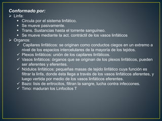 Conformado por:
 Linfa:
 Circula por el sistema linfático.
 Se mueve pasivamente.
 Trans. Sustancias hasta el torrente sanguíneo.
 Se mueve mediante la act. contráctil de los vasos linfáticos
 Organos:
 Capilares linfáticos: se originan como conductos ciegos en un extremo a
nivel de los espacios intercelulares de la mayoría de los tejidos.
 Plexos linfáticos: unión de los capilares linfáticos.
 Vasos linfáticos: órganos que se originan de los plexos linfáticos, pueden
ser aferentes y eferentes.
 Nódulos linfáticos: pequeñas masas de tejido linfático cuya función es
filtrar la linfa, donde ésta llega a través de los vasos linfáticos aferentes, y
luego vertida por medio de los vasos linfáticos eferentes.
 Bazo: lisis de eritrocitos, filtran la sangre, lucha contra infeccones.
 Timo: maduran los Linfocitos T
 