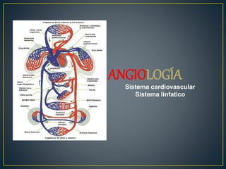ANGIOLOGÍA
Sistema cardiovascular
Sistema linfatico
 