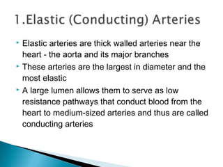 Elastic arteries are thick walled arteries near the
heart - the aorta and its major branches
 These arteries are the largest in diameter and the
most elastic
 A large lumen allows them to serve as low
resistance pathways that conduct blood from the
heart to medium-sized arteries and thus are called
conducting arteries


 