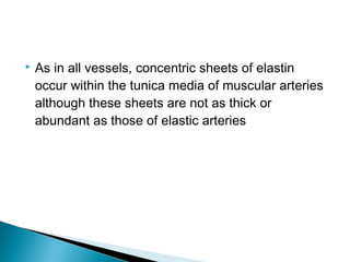 

As in all vessels, concentric sheets of elastin
occur within the tunica media of muscular arteries
although these sheets are not as thick or
abundant as those of elastic arteries

 