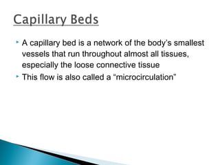 A capillary bed is a network of the body’s smallest
vessels that run throughout almost all tissues,
especially the loose connective tissue
 This flow is also called a “microcirculation”


 