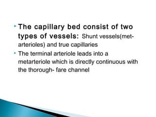  The

capillary bed consist of two
types of vessels: Shunt vessels(met-

arterioles) and true capillaries
 The terminal arteriole leads into a
metarteriole which is directly continuous with
the thorough- fare channel

 