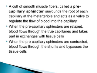 A cuff of smooth muscle fibers, called a precapillary sphincter surrounds the root of each
capillary at the metarteriole and acts as a valve to
regulate the flow of blood into the capillary
 When the pre-capillary sphincters are relaxed,
blood flows through the true capillaries and takes
part in exchanges with tissue cells
 When the pre-capillary sphincters are contracted,
blood flows through the shunts and bypasses the
tissue cells


 