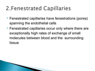 Fenestrated capillaries have fenestrations (pores)
spanning the endothelial cells
 Fenestrated capillaries occur only where there are
exceptionally high rates of exchange of small
molecules between blood and the surrounding
tissue


 