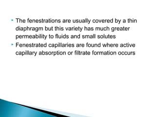 The fenestrations are usually covered by a thin
diaphragm but this variety has much greater
permeability to fluids and small solutes
 Fenestrated capillaries are found where active
capillary absorption or filtrate formation occurs


 
