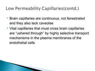 Brain capillaries are continuous, not fenestrated
and they also lack caveolae
 Vital capillaries that must cross brain capillaries
are “ushered through” by highly selective transport
mechanisms in the plasma membranes of the
endothelial cells


 