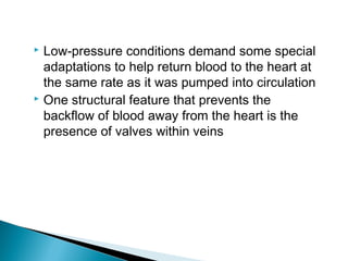 Low-pressure conditions demand some special
adaptations to help return blood to the heart at
the same rate as it was pumped into circulation
 One structural feature that prevents the
backflow of blood away from the heart is the
presence of valves within veins


 