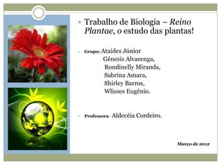 Trabalho de Biologia – Reino
    Plantae, o estudo das plantas!

   Grupo: Ataídes Júnior
            Gênesis Alvarenga,
            Rondinelly Miranda,
            Sabrina Amara,
            Shirley Barros,
            Wlisses Eugênio.


   Professora:   Aldecéia Cordeiro.



                                       Março de 2012
 
