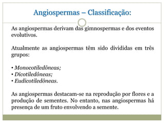 Angiospermas – Classificação:

As angiospermas derivam das gimnospermas e dos eventos
evolutivos.

Atualmente as angiospermas têm sido divididas em três
grupos:

• Monocotiledôneas;
• Dicotiledôneas;
• Eudicotiledôneas.

As angiospermas destacam-se na reprodução por flores e a
produção de sementes. No entanto, nas angiospermas há
presença de um fruto envolvendo a semente.
 