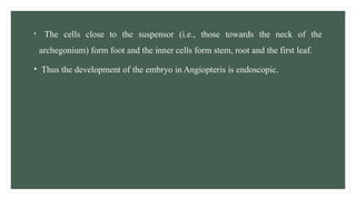 • The cells close to the suspensor (i.e., those towards the neck of the
archegonium) form foot and the inner cells form stem, root and the first leaf.
• Thus the development of the embryo in Angiopteris is endoscopic.
 