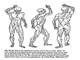 Angiosome concept | PPTX
