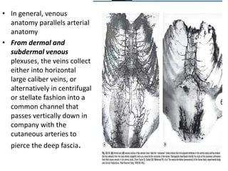Angiosome concept | PPTX