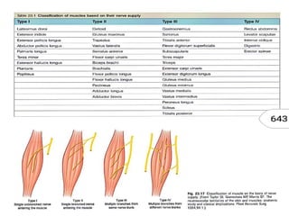 Angiosome concept | PPTX