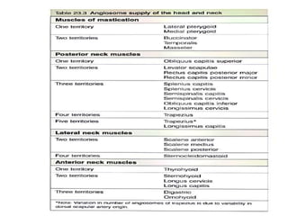 Angiosome concept | PPTX