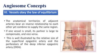 Angiosome Theory of Skin Vascular Territories | PPTX