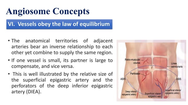 Angiosome Theory of Skin Vascular Territories | PPTX