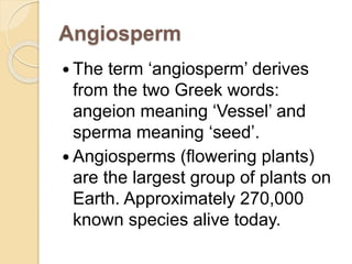 Angiosperm.ppt