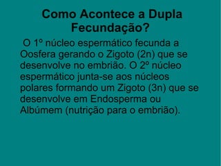  Como Acontece a Dupla
Fecundação?
 O 1º núcleo espermático fecunda a 
Oosfera gerando o Zigoto (2n) que se 
desenvolve no embrião. O 2º núcleo 
espermático junta-se aos núcleos 
polares formando um Zigoto (3n) que se 
desenvolve em Endosperma ou 
Albúmem (nutrição para o embrião). 
 