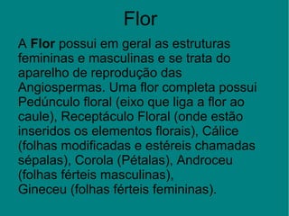 Flor
A Flor possui em geral as estruturas 
femininas e masculinas e se trata do 
aparelho de reprodução das 
Angiospermas. Uma flor completa possui 
Pedúnculo floral (eixo que liga a flor ao 
caule), Receptáculo Floral (onde estão 
inseridos os elementos florais), Cálice 
(folhas modificadas e estéreis chamadas 
sépalas), Corola (Pétalas), Androceu 
(folhas férteis masculinas), 
Gineceu (folhas férteis femininas).
 
