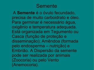 Semente
 A Semente é o óvulo fecundado, 
precisa de muito carboidrato e óleo. 
Para germinar é necessário água, 
oxigênio e temperatura adequada. 
Está organizada em Tegumento ou 
Casca (função de proteção e 
disseminação); Amêndoa (formada 
pelo endosperma – nutrição) e 
Embrião. A Dispersão da semente 
pode ser realizada por animais 
(Zoocoria) ou pelo Vento 
(Anemocoria).
 