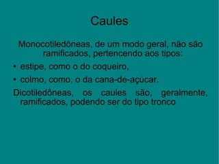 Caules Monocotiledôneas, de um modo geral, não são ramificados, pertencendo aos tipos:  estipe, como o do coqueiro, colmo, como, o da cana-de-açúcar.  Dicotiledôneas, os caules são, geralmente, ramificados, podendo ser do tipo tronco 