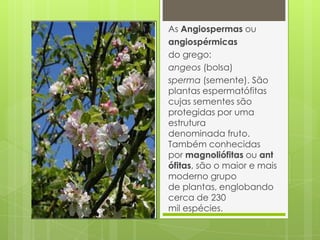 As Angiospermas ou
angiospérmicas
do grego:
angeos (bolsa)
sperma (semente). São
plantas espermatófitas
cujas sementes são
protegidas por uma
estrutura
denominada fruto.
Também conhecidas
por magnoliófitas ou ant
ófitas, são o maior e mais
moderno grupo
de plantas, englobando
cerca de 230
mil espécies.

 