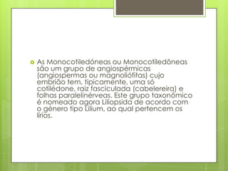 

As Monocotiledóneas ou Monocotiledôneas
são um grupo de angiospérmicas
(angiospermas ou magnoliófitas) cujo
embrião tem, tipicamente, uma só
cotilédone, raiz fasciculada (cabelereira) e
folhas paralelinérveas. Este grupo taxonômico
é nomeado agora Liliopsida de acordo com
o género tipo Lilium, ao qual pertencem os
lírios.

 