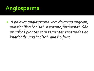  A palavra angiosperma vem do grego angeion,
que significa “bolsa”, e sperma,”semente”. São
as únicas plantas com sementes encerradas no
interior de uma “bolsa”, que é o fruto.
 