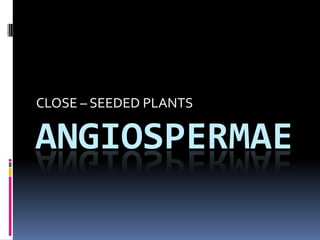 CLOSE – SEEDED PLANTS

ANGIOSPERMAE
 