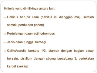 Kriteria yang dimilikinya antara lain:
o Habitus berupa liana (habitus ini dianggap maju setelah
semak, perdu dan pohon)
o Pertulangan daun actinodromous
o Jenis daun tunggal berbagi
o Caliks/corolla bersatu 1/3, stamen dengan bagian dasar
bersatu, pistillum dengan stigma bercabang 3, perlekatan
karpel synkarp
 