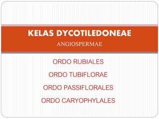 ORDO RUBIALES
ORDO TUBIFLORAE
ORDO PASSIFLORALES
ORDO CARYOPHYLALES
KELAS DYCOTILEDONEAE
ANGIOSPERMAE
 