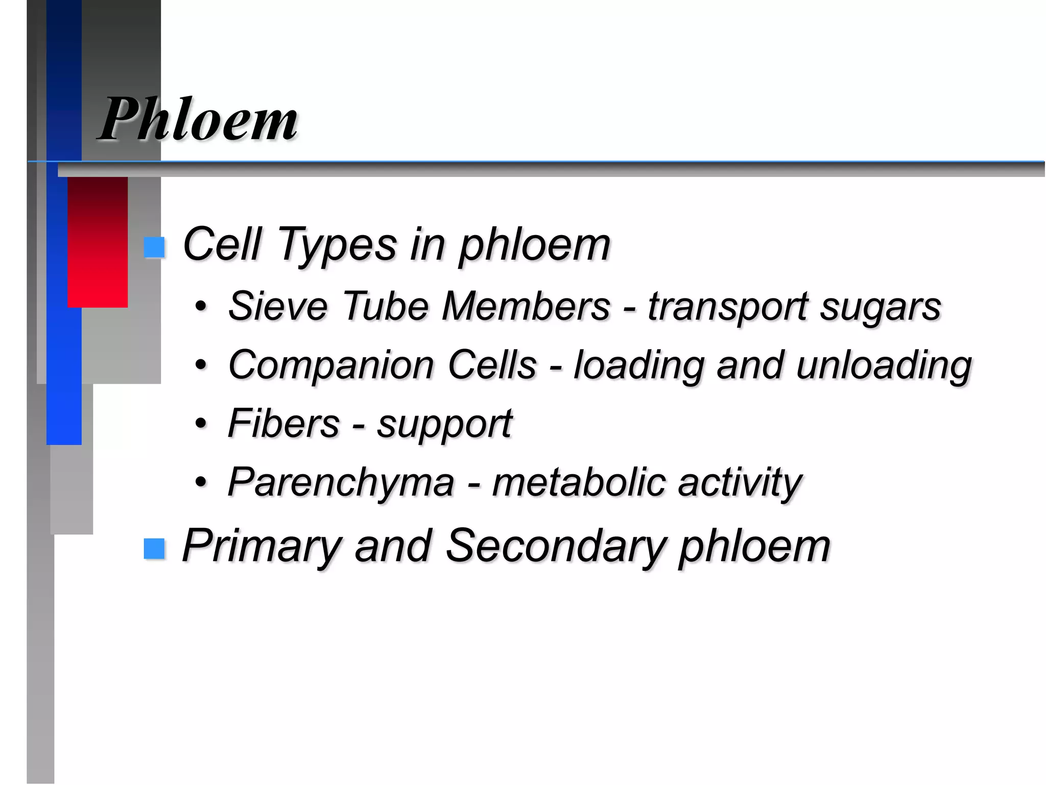 Phloem
 Cell Types in phloem
• Sieve Tube Members - transport sugars
• Companion Cells - loading and unloading
• Fibers - support
• Parenchyma - metabolic activity
 Primary and Secondary phloem
 