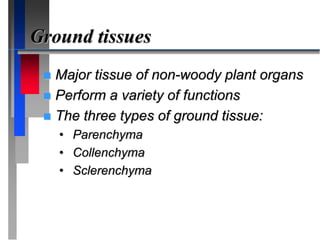 Ground tissues
 Major tissue of non-woody plant organs
 Perform a variety of functions
 The three types of ground tissue:
• Parenchyma
• Collenchyma
• Sclerenchyma
 