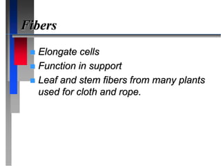 Fibers
 Elongate cells
 Function in support
 Leaf and stem fibers from many plants
used for cloth and rope.
 