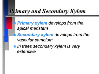 Primary and Secondary Xylem
 Primary xylem develops from the
apical meristem
 Secondary xylem develops from the
vascular cambium.
 In trees secondary xylem is very
extensive
 