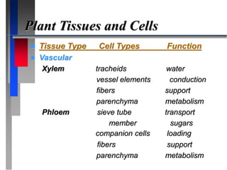 Plant Tissues and Cells
 Tissue Type Cell Types Function
 Vascular
Xylem tracheids water
vessel elements conduction
fibers support
parenchyma metabolism
Phloem sieve tube transport
member sugars
companion cells loading
fibers support
parenchyma metabolism
 