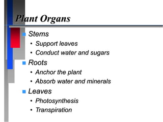Plant Organs
 Stems
• Support leaves
• Conduct water and sugars
 Roots
• Anchor the plant
• Absorb water and minerals
 Leaves
• Photosynthesis
• Transpiration
 