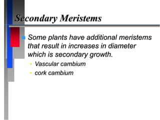 Secondary Meristems
 Some plants have additional meristems
that result in increases in diameter
which is secondary growth.
• Vascular cambium
• cork cambium
 