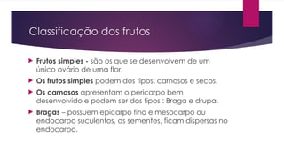 Classificação dos frutos
 Frutos simples - são os que se desenvolvem de um
único ovário de uma flor.
 Os frutos simples podem dos tipos: carnosos e secos.
 Os carnosos apresentam o pericarpo bem
desenvolvido e podem ser dos tipos : Braga e drupa.
 Bragas – possuem epicarpo fino e mesocarpo ou
endocarpo suculentos, as sementes, ficam dispersas no
endocarpo.
 