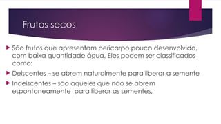 Frutos secos
 São frutos que apresentam pericarpo pouco desenvolvido,
com baixa quantidade água. Eles podem ser classificados
como:
 Deiscentes – se abrem naturalmente para liberar a semente
 Indeiscentes – são aqueles que não se abrem
espontaneamente para liberar as sementes,
 